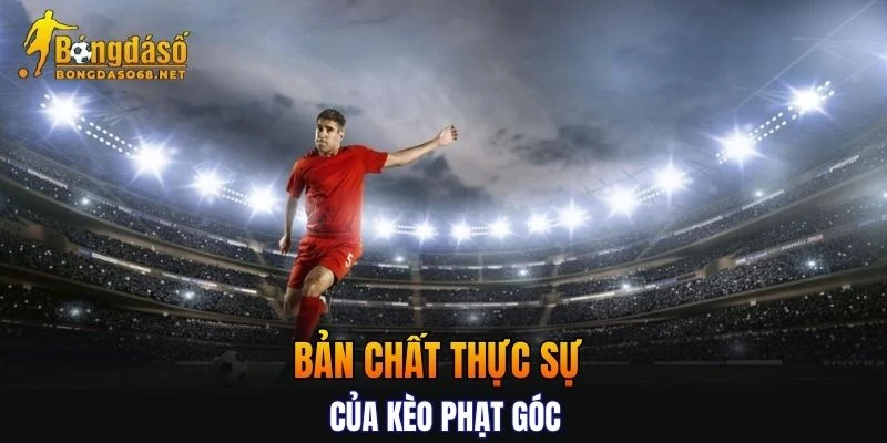 Tìm hiểu bản chất thực sự của kèo phạt góc