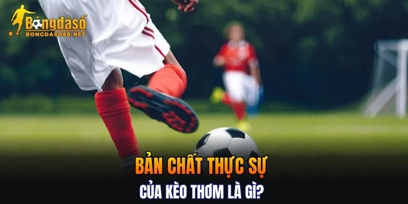 Tìm hiểu bản chất thực sự của kèo thơm là gì?