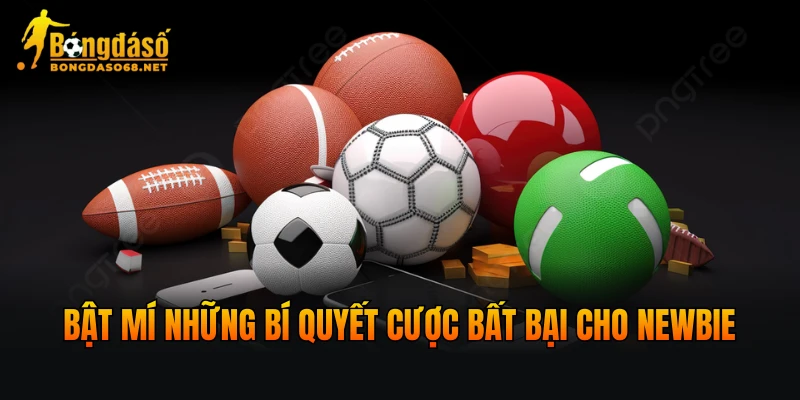 Bật mí những bí quyết cược bất bại cho newbie