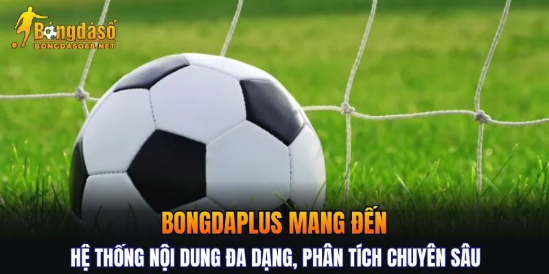 Bongdaplus mang đến hệ thống nội dung đa dạng, phân tích chuyên sâu