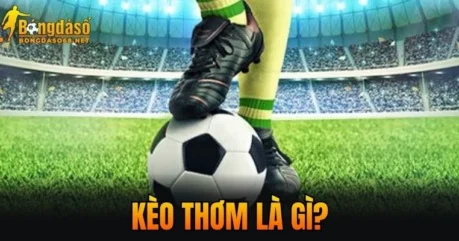 Kèo Thơm Là Gì Trong Cá Cược? Bí Quyết Nhận Diện Chính Xác