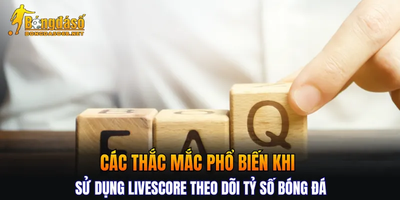 Các thắc mắc phổ biến khi sử dụng Livescore theo dõi tỷ số bóng đá