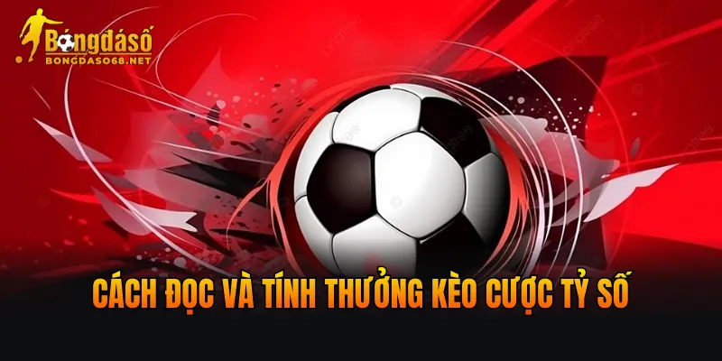 Cách đọc và tính thưởng kèo cược Tỷ số