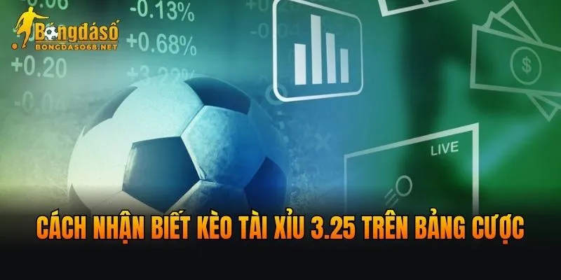 Cách nhận biết kèo Tài xỉu 3.25 trên bảng cược