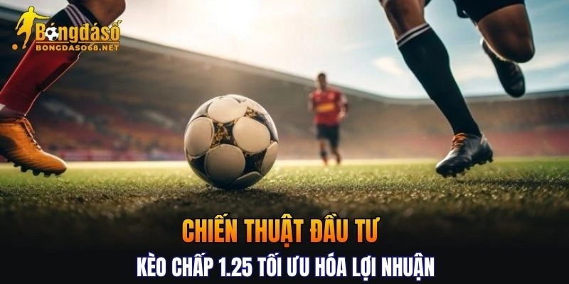 Chiến thuật đầu tư kèo tối ưu hóa lợi nhuận từ chuyên gia