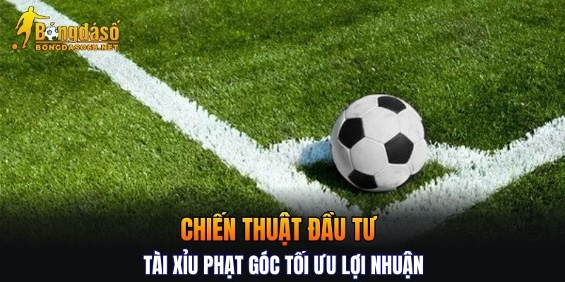 Tổng hợp các chiến thuật đầu tư kèo góc tối ưu lợi nhuận