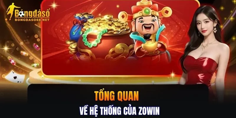 Tổng quan chi tiết về hệ thống của ZOWIN