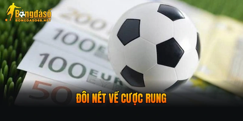 Đôi nét về cược rung