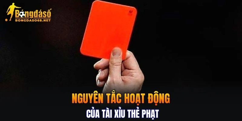 Tìm hiểu nguyên tắc hoạt động của Tài Xỉu thẻ phạt