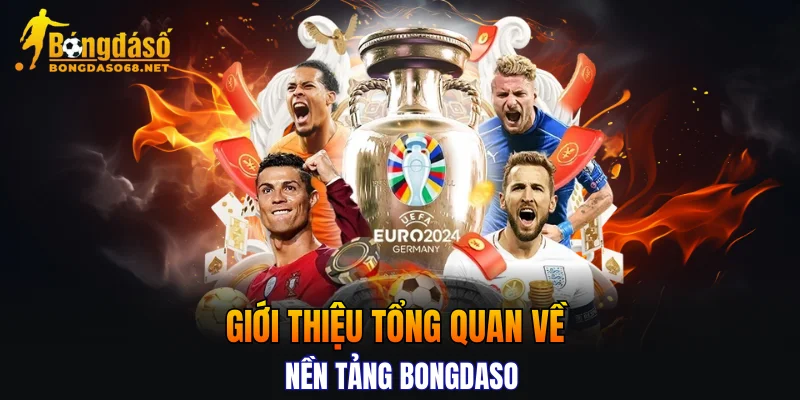 Giới thiệu tổng quan về nền tảng Bongdaso