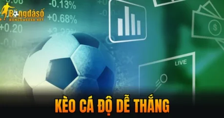 Kèo Cá Độ Dễ Thắng – Gợi Ý Chọn Kèo Hiệu Quả Năm 2026