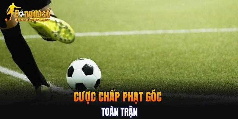 Hướng dẫn cách đọc kèo cược chấp phạt góc toàn trận