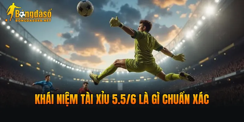Khái niệm tài xỉu 5.5/6 là gì chuẩn xác