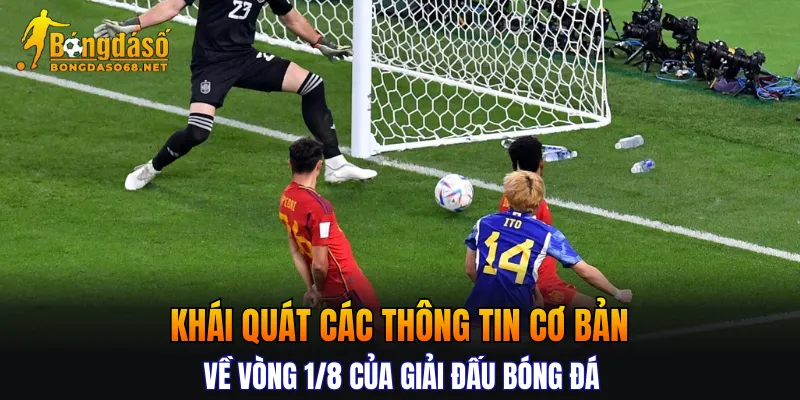 Khái quát các thông tin cơ bản về vòng 1/8 của giải đấu bóng đá