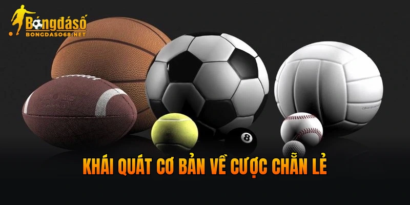 Khái quát cơ bản về cược chẵn lẻ