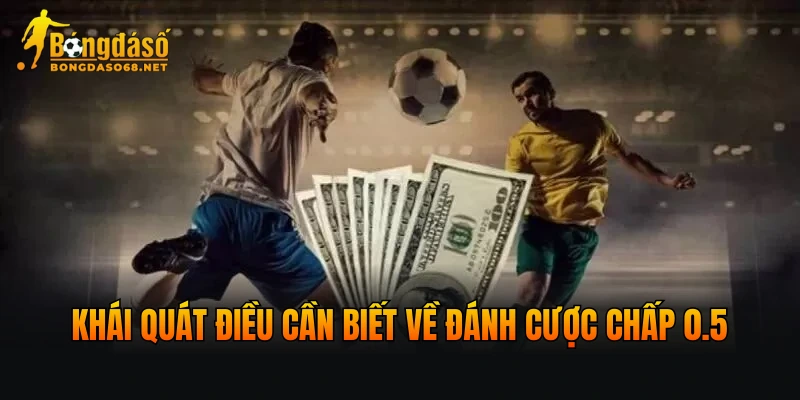 Khái quát điều cần biết về đánh cược chấp 0.5
