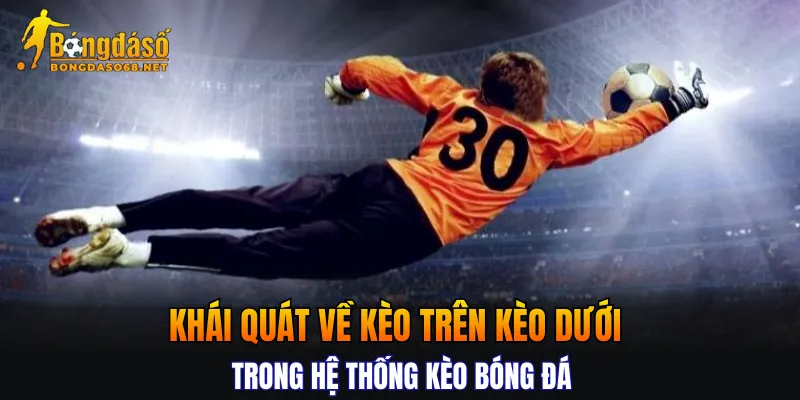 Khái quát về kèo trên kèo dưới trong hệ thống kèo bóng đá