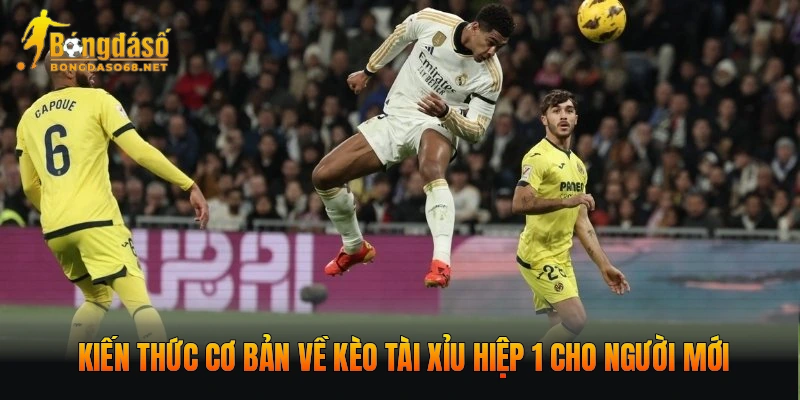 Kiến thức cơ bản về kèo tài xỉu hiệp 1 cho người mới