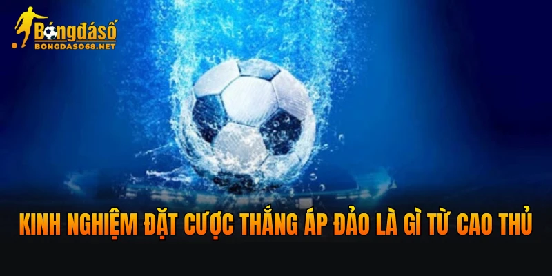 Kinh nghiệm đặt cược thắng áp đảo là gì từ cao thủ