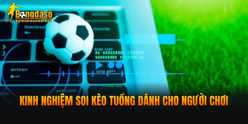 Kinh nghiệm soi kèo tuồng dành cho người chơi