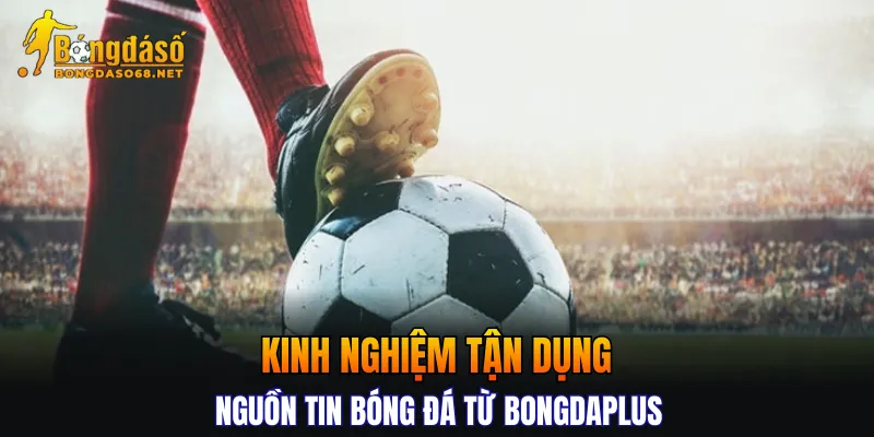 Kinh nghiệm tận dụng nguồn tin bóng đá từ Bongdaplus