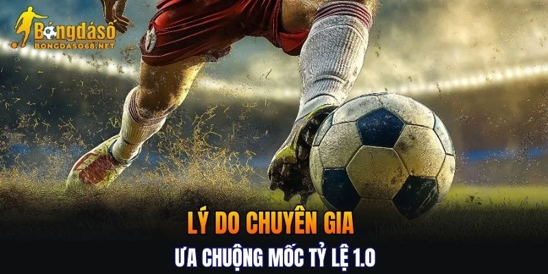 Phân tích lý do chuyên gia ưa chuộng mốc tỷ lệ 1.0