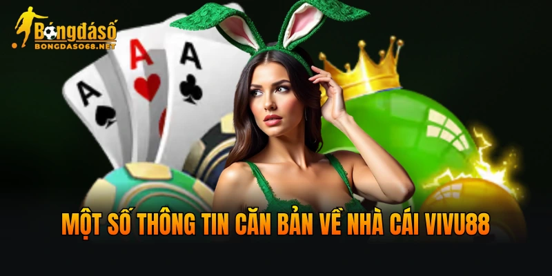Một số thông tin căn bản về nhà cái VIVU88