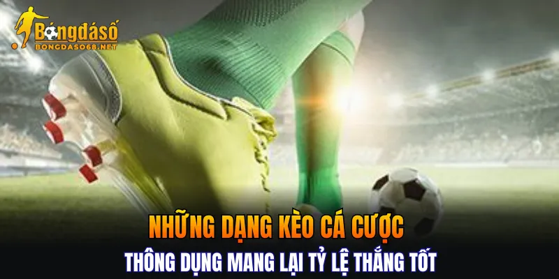 Những dạng kèo cá cược thông dụng mang lại tỷ lệ thắng tốt