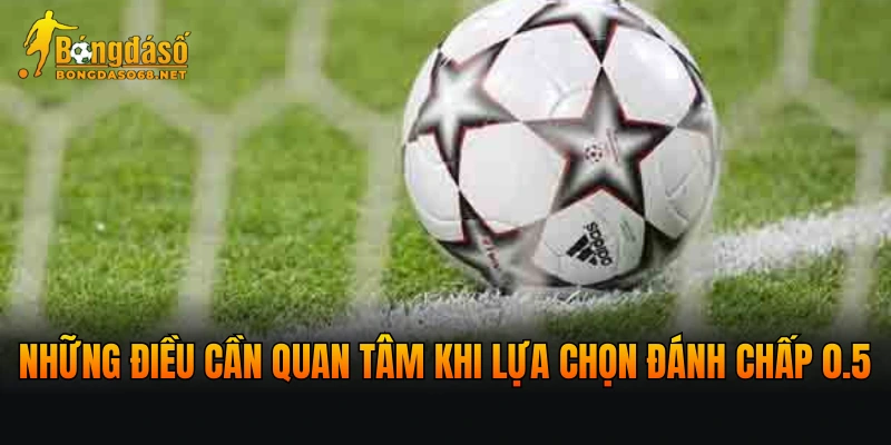 Những điều cần quan tâm khi lựa chọn cược chấp 0.5