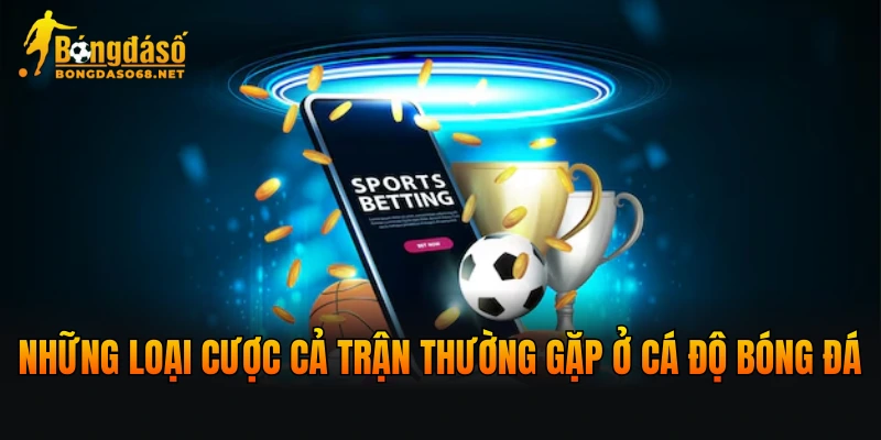 Những loại cược cả trận thường gặp trong cá độ bóng đá