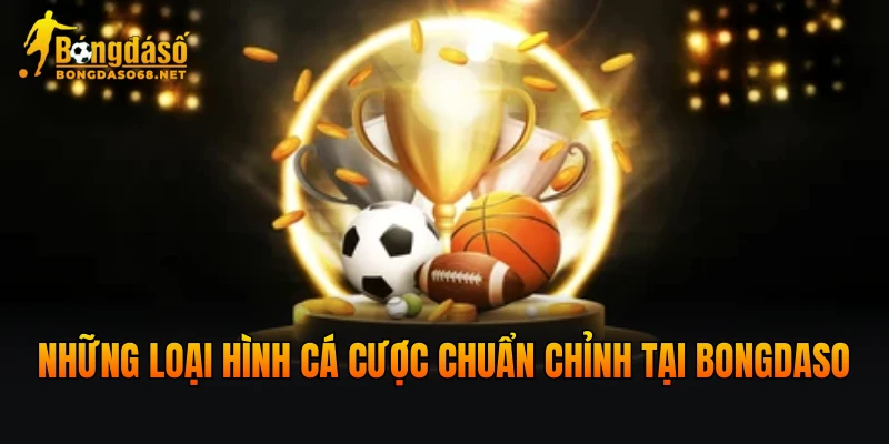 Những loại hình cá cược chuẩn chỉnh tại BONGDASO
