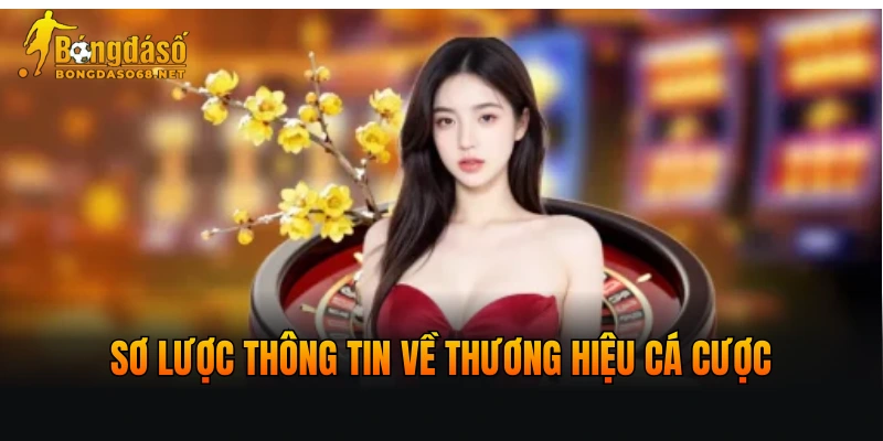 Sơ lược thông tin về thương hiệu cá cược