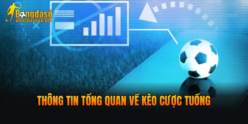 Thông tin tổng quan về kèo cược tuồng