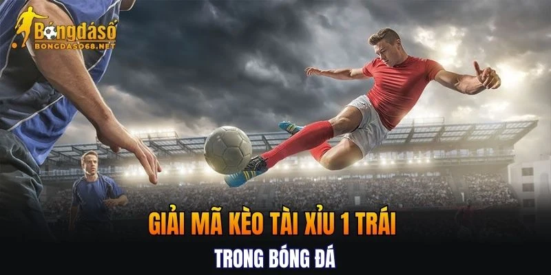 Giải mã kèo Tài Xỉu 1 trái chi tiết cho người chơi mới