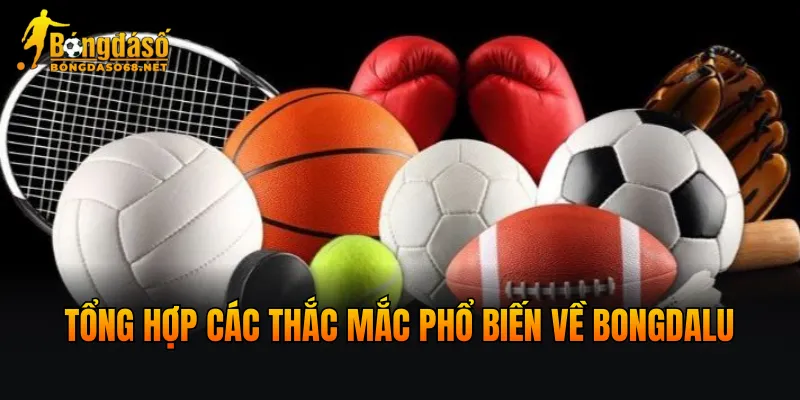 Tổng hợp các thắc mắc phổ biến về Bongdalu