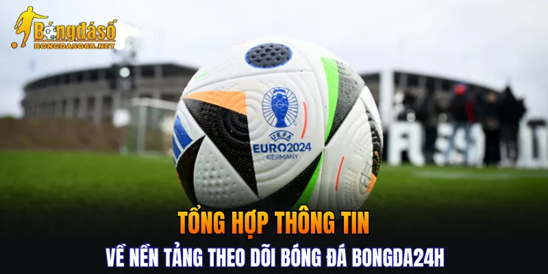 Tổng hợp thông tin về nền tảng theo dõi bóng đá Bongda24h