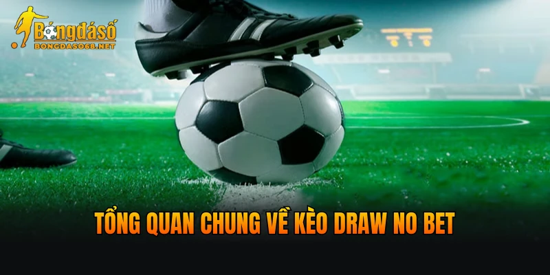Những điều cần biết về cược Draw No Bet