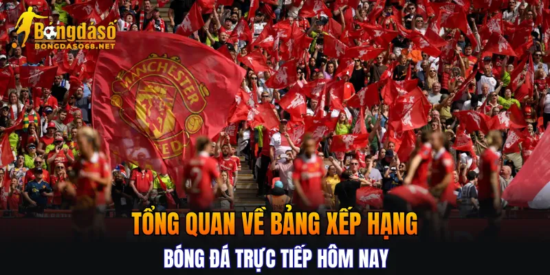 Tổng quan về bảng xếp hạng bóng đá trực tiếp hôm nay